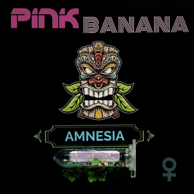 Amnesia - Féminisée