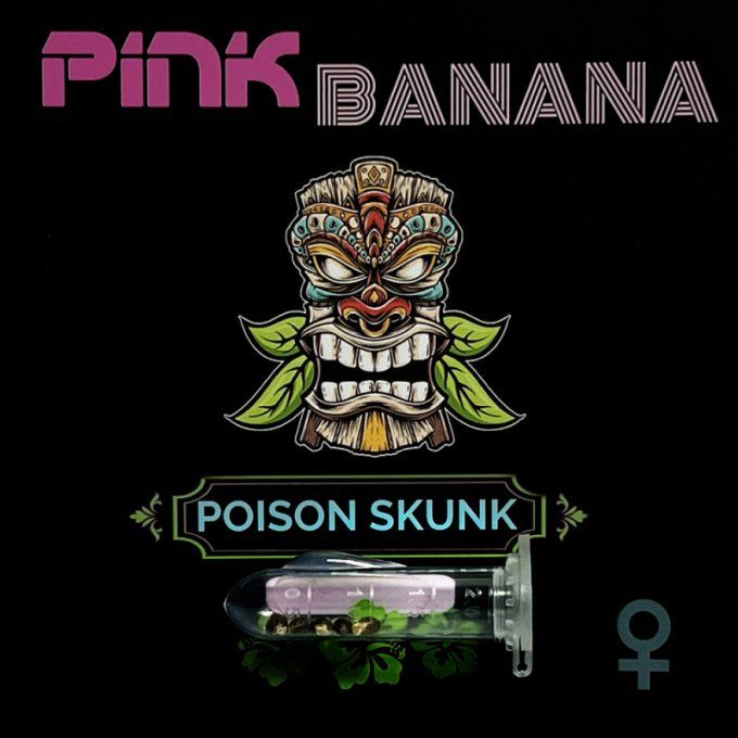 Poison Skunk - Féminisée 